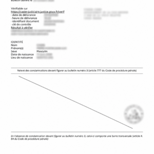 Extrait de casier judiciaire français, bulletin n° 3, avec données personnelles floutées